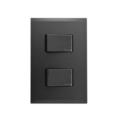INTERRUPTOR DOBLE BTICINO NOBILE NEGRO